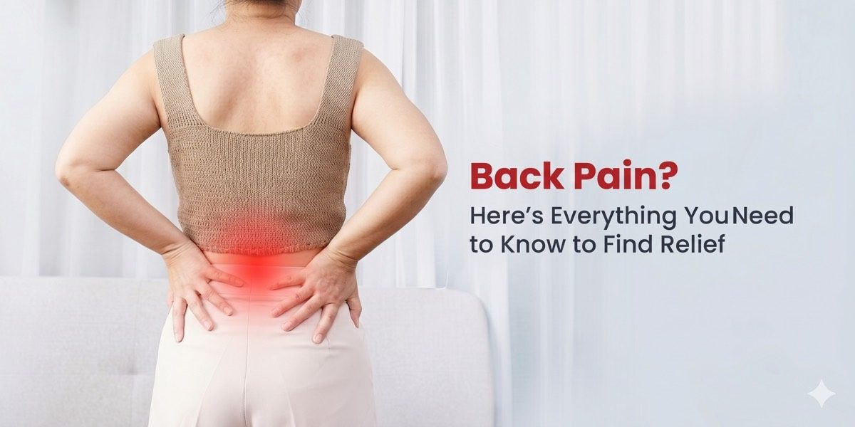 Diagram showing lumbar disc herniation and lumbar facet joints